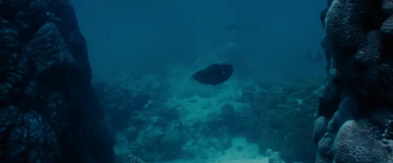 download blueback (2022) bluray {english with subtitles} full movie 480p [300mb] | 720p [800mb] | 1080p [2gb]