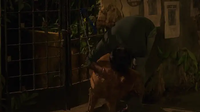 screenshot 006535 cheesecake 2019