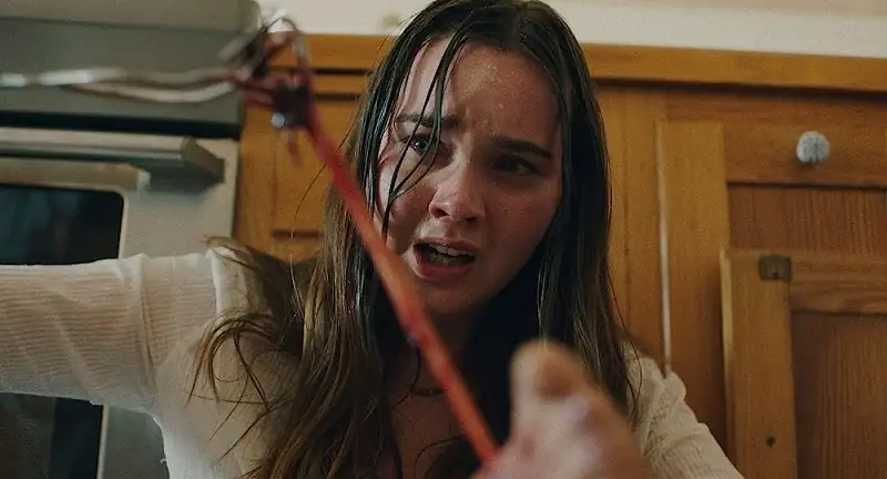 download the beach house (2019) bluray dual audio {hindi-english} 480p [320mb] | 720p [1gb] | 1080p [2gb]