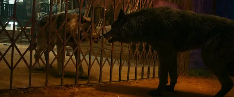 screenshot 09987f bhediya 2022