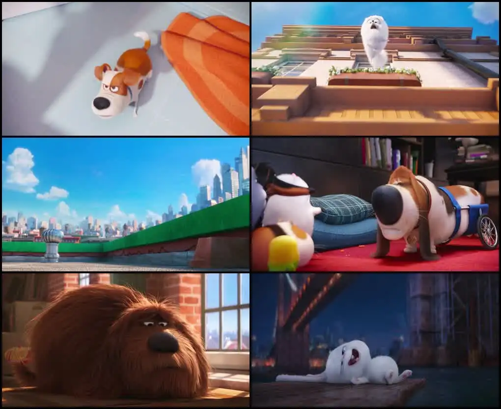 screenshot 0ab21e the secret life of pets 2016