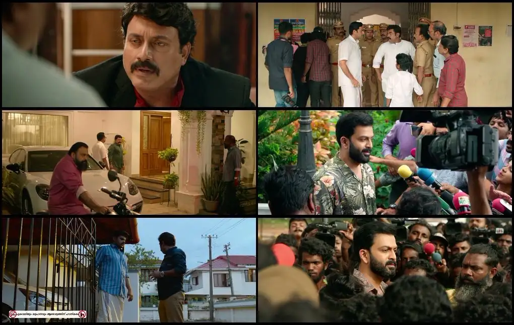 screenshot 0cadd9 driving licence 2019