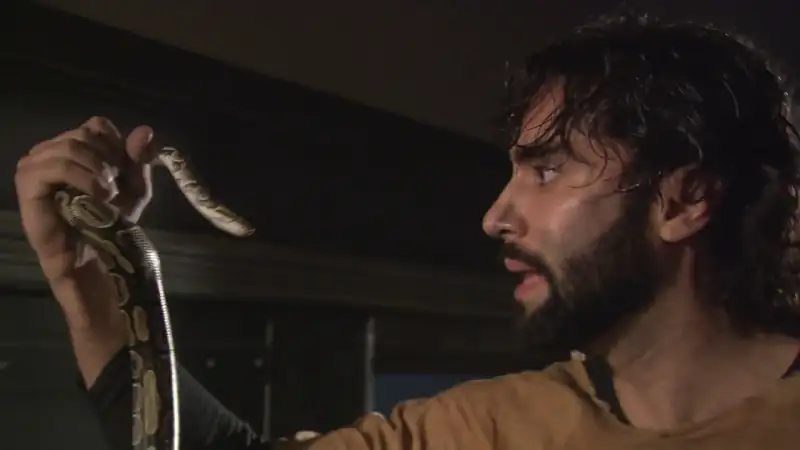 download snakes on a train (2006) dual audio {hindi-english} 480p [300mb] | 720p [1gb]