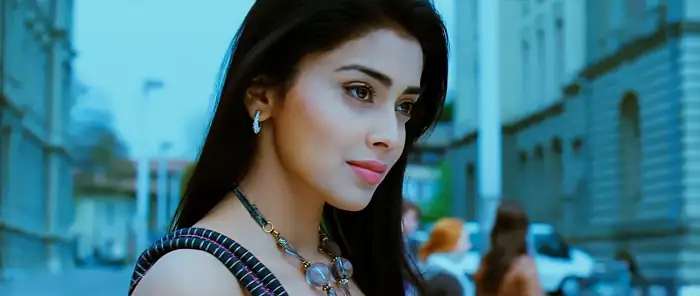 download don seenu (2010) hindi dubbed full movie 480p [600mb] | 720p [1.4gb] | 1080p [3.2gb]