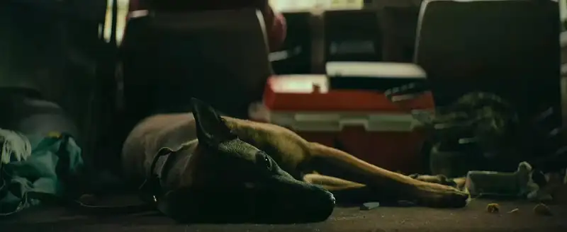 download dog (2022) dual audio {hindi org. dubbed + english} web-dl 480p [450mb] | 720p [1.6gb] | 1080p [3.4gb]