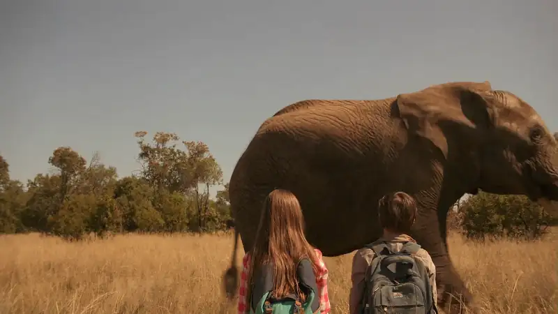 download against the wild ii survive the serengeti (2016) dual audio {hindi-english} bluray 480p [300mb] | 720p [850mb] | 1080p [1.8gb]