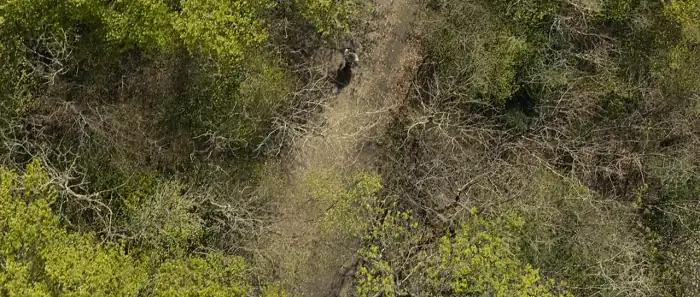 download jimmy savile: a british horror story (2022) season 1 dual audio {hindi-english} 480p | 720p web-dl