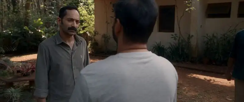 screenshot 196d15 bougainvillea 2024