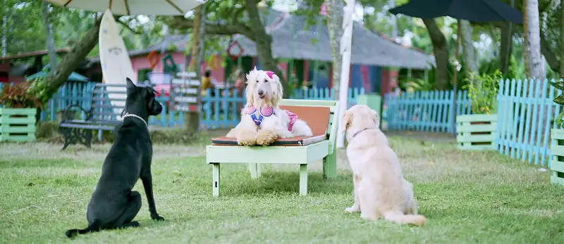 screenshot 1aed14 valatty 2023