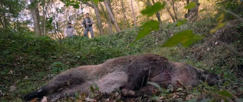 download [18+] deep trap (2015) bluray hindi dubbed (org 2.0) full-movie 480p [350mb] | 720p [920mb] | 1080p [2gb]