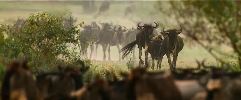 download our universe - netflix original (2022) season 1 dual audio {hindi-english} 480p | 720p web-dl