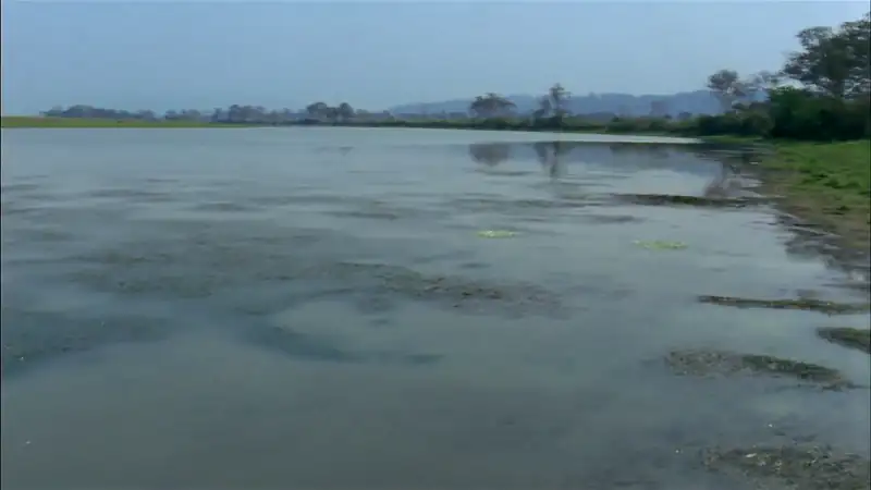 download ganges (2007) dual audio {hindi-english} 480p [500mb] | 720p [1.4gb] | 1080p [3gb]