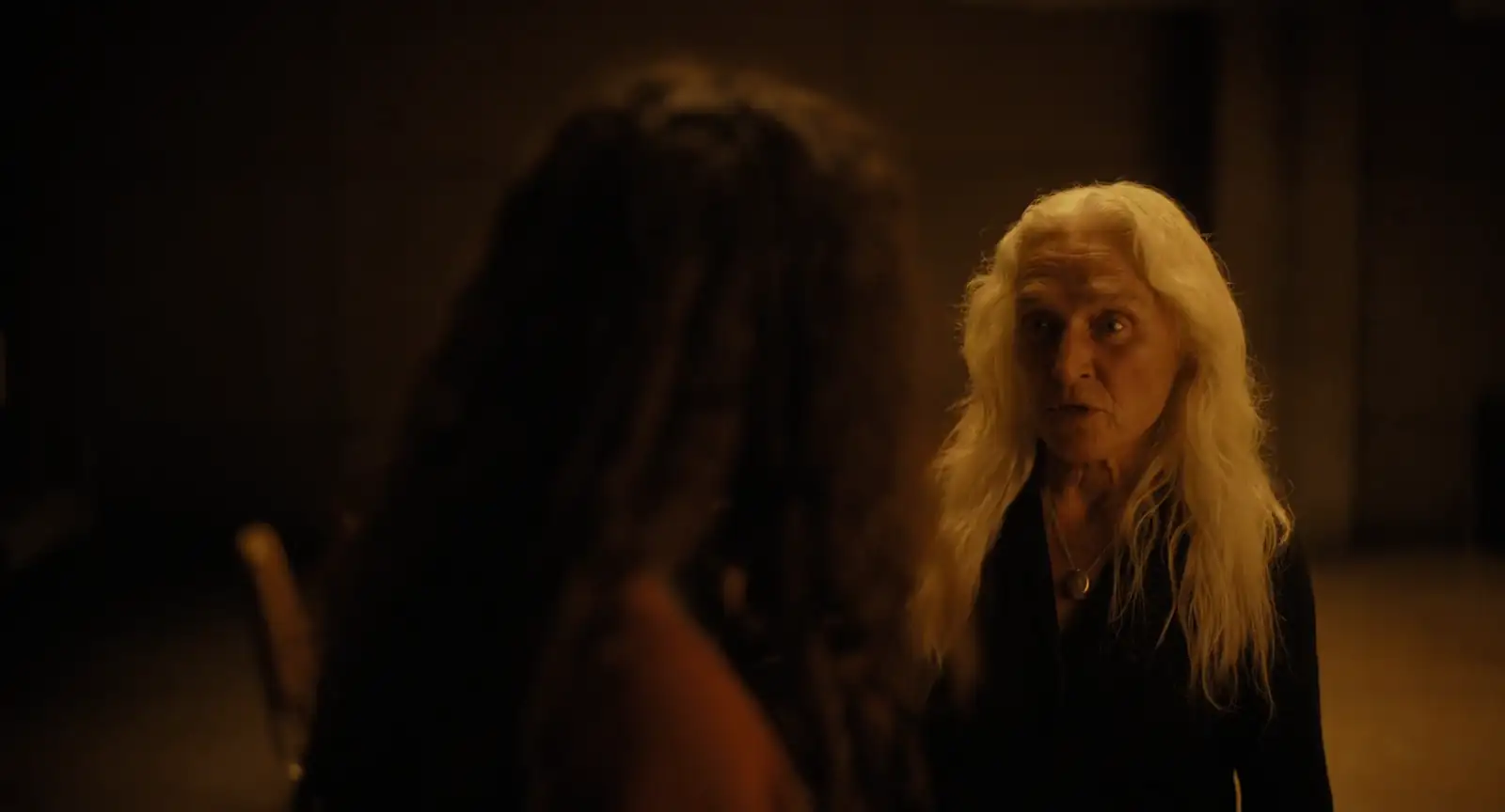 download the watchers (2024) {english with subtitles} full movie web-dl 480p [300mb] | 720p [800mb] | 1080p [2gb]