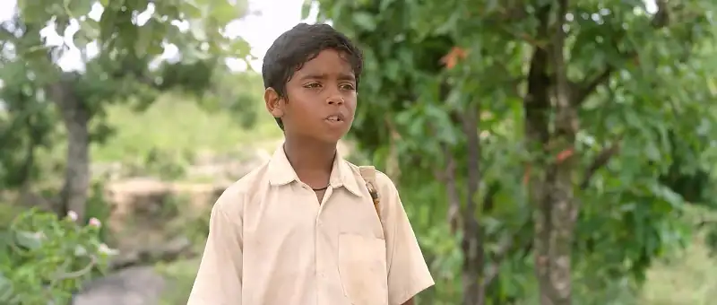 screenshot 2249cd ek gulelbaaz the catapult 2019