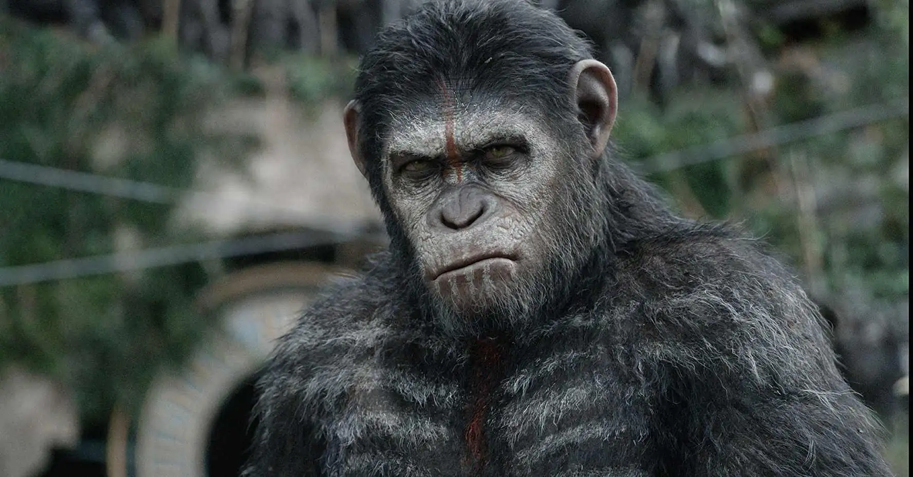 download dawn of the planet of the apes (2014) dual audio {hindi-english} bluray 480p [400mb] | 720p [1.4gb] | 1080p [2.2gb]