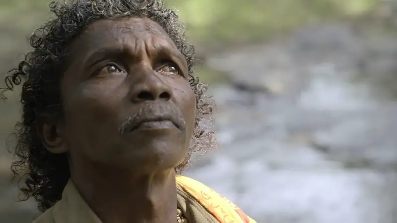 screenshot 26e3c8 the elephant whisperers 2022