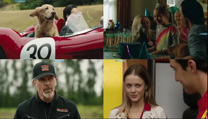 download the art of racing in the rain (2019) dual audio {hindi-english} 480p [350mb] | 720p [1gb]