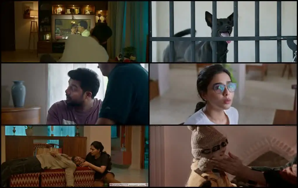 screenshot 34ad5d hello mummy 2024