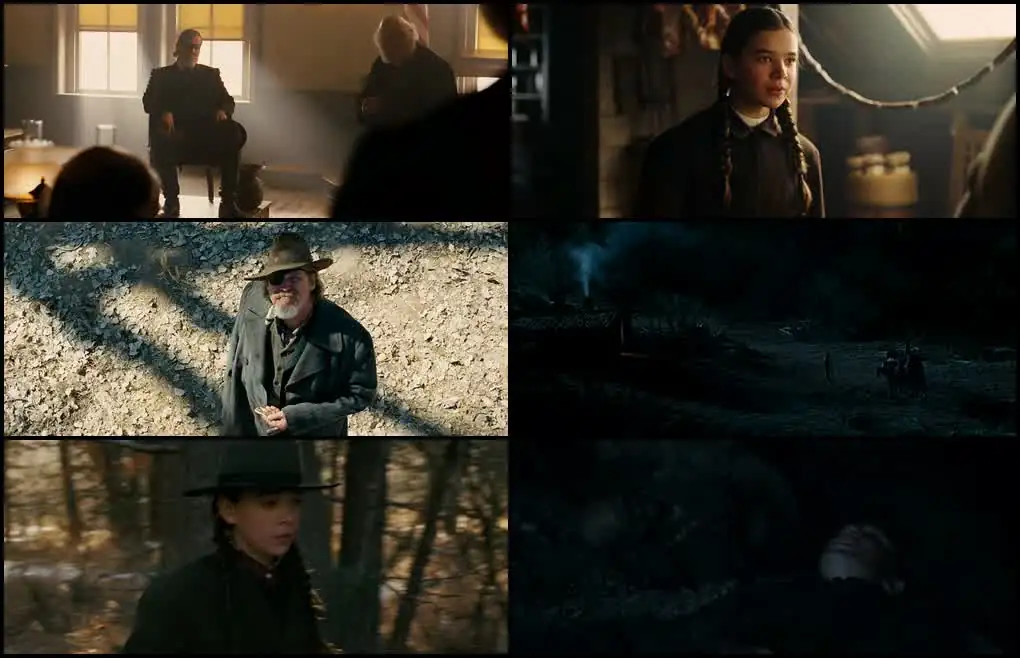 screenshot 36097f true grit 2010