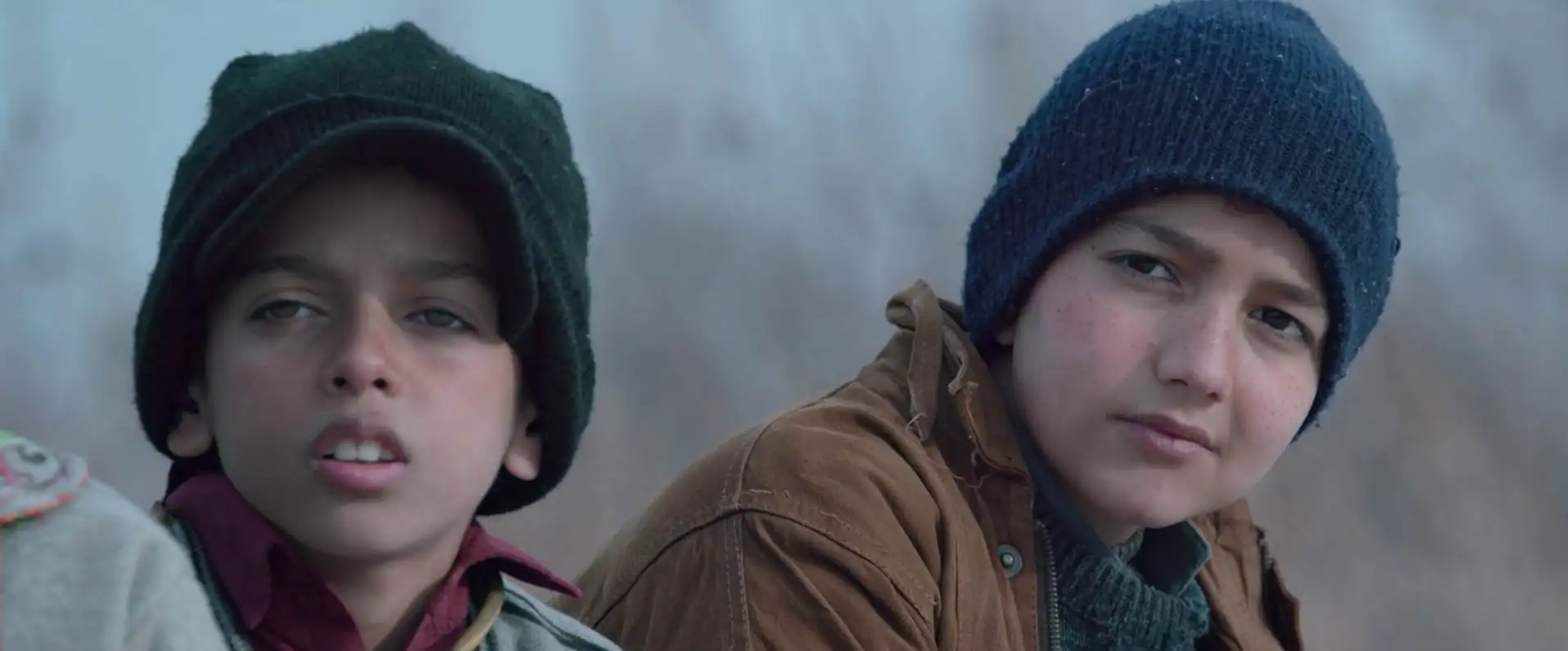 screenshot 37cc55 torbaaz 2020