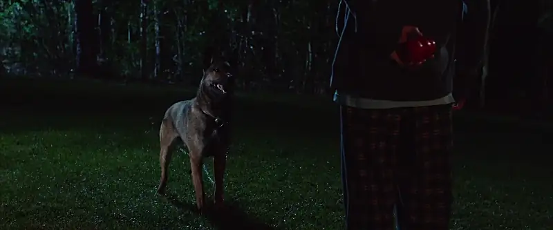 download max (2015) bluray {english with subtitles} full movie 480p [350mb] | 720p [900mb] | 1080p [2gb]