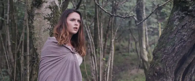 download viking legacy (2016) dual audio [hindi + english] blu-ray 480p [270mb] | 720p [750mb] | 1080p [1.7gb]