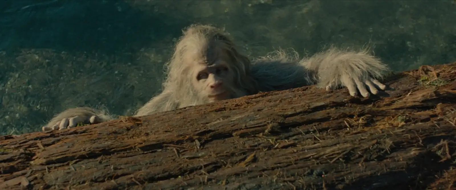 download sasquatch sunset (2024) {english audio} full movie web-dl 480p [280mb] | 720p [750mb] | 1080p [1.8gb]