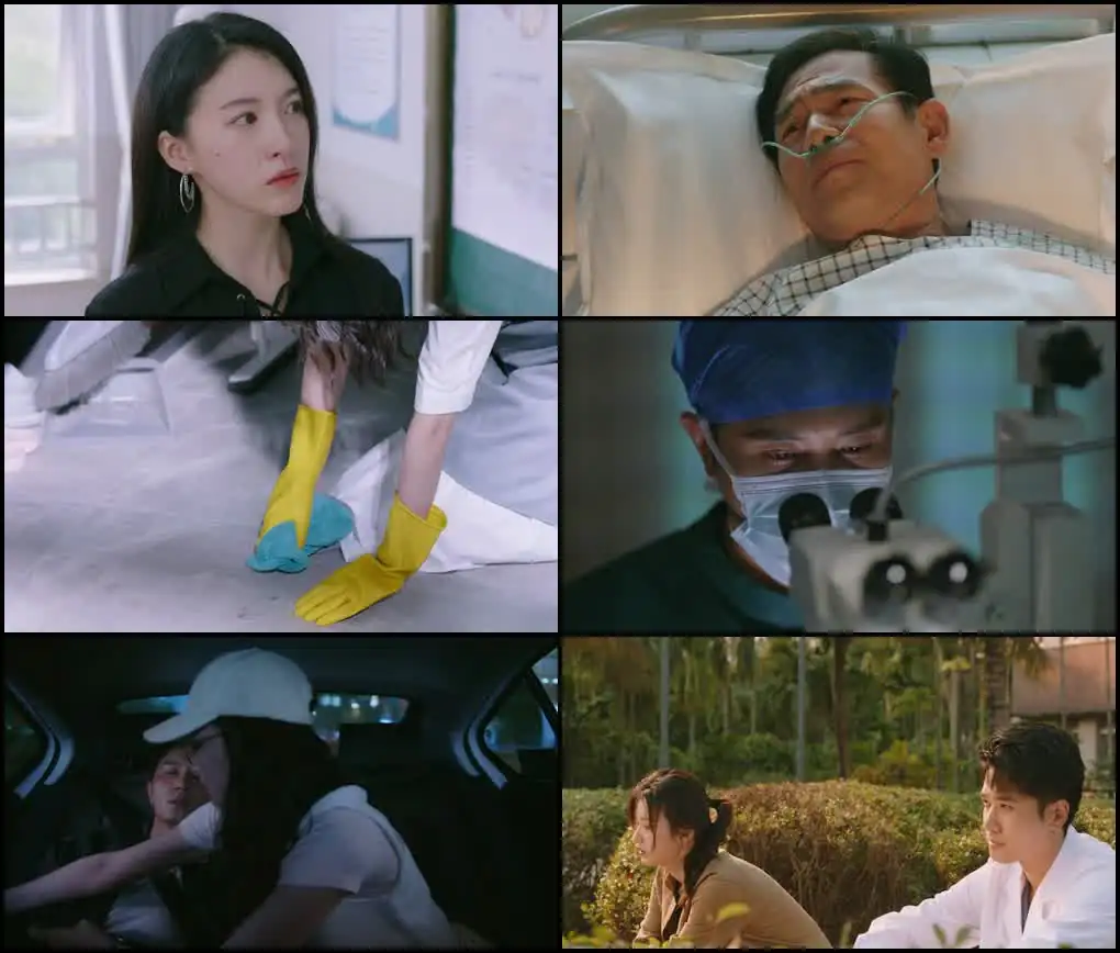 download have a crush on you (season 1) dual audio {hindi-chinese} series 480p | 720p | 1080p web-dl download have a crush on you (season 1) dual audio {hindi-chinese} series 480p | 720p | 1080p web-dl