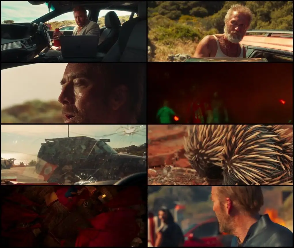 screenshot 44bd66 the surfer 2024