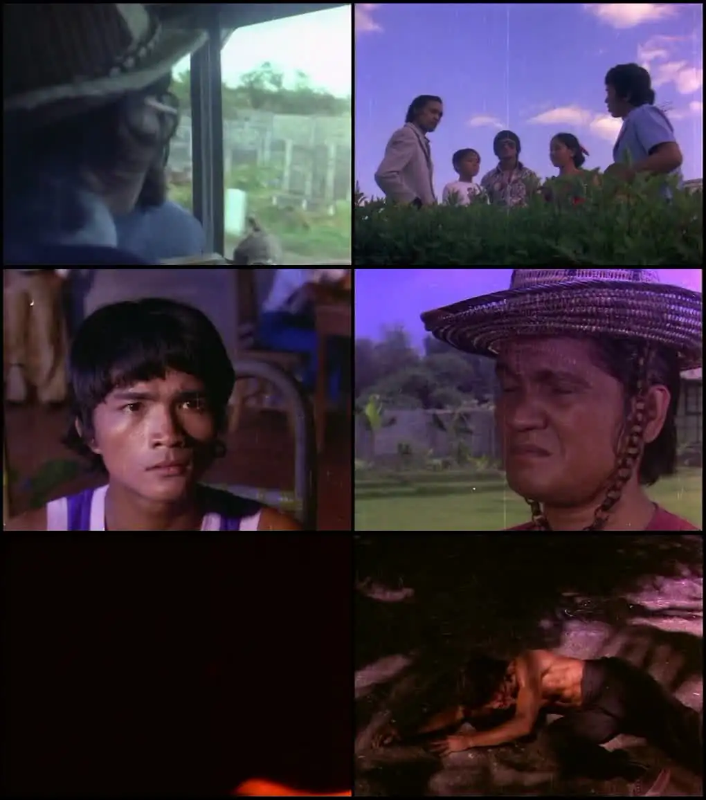 download chaku master (1974) web-dl dual audio {hindi-english} 480p [270mb] | 720p [800mb] | 1080p [1.7gb]