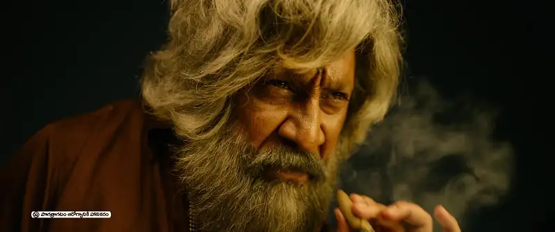 screenshot 479ffc bhimaa 2024