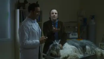 download white as snow (2019) dual audio [hindi + french] web-dl 480p [400mb] | 720p [950mb] | 1080p [2.1gb]