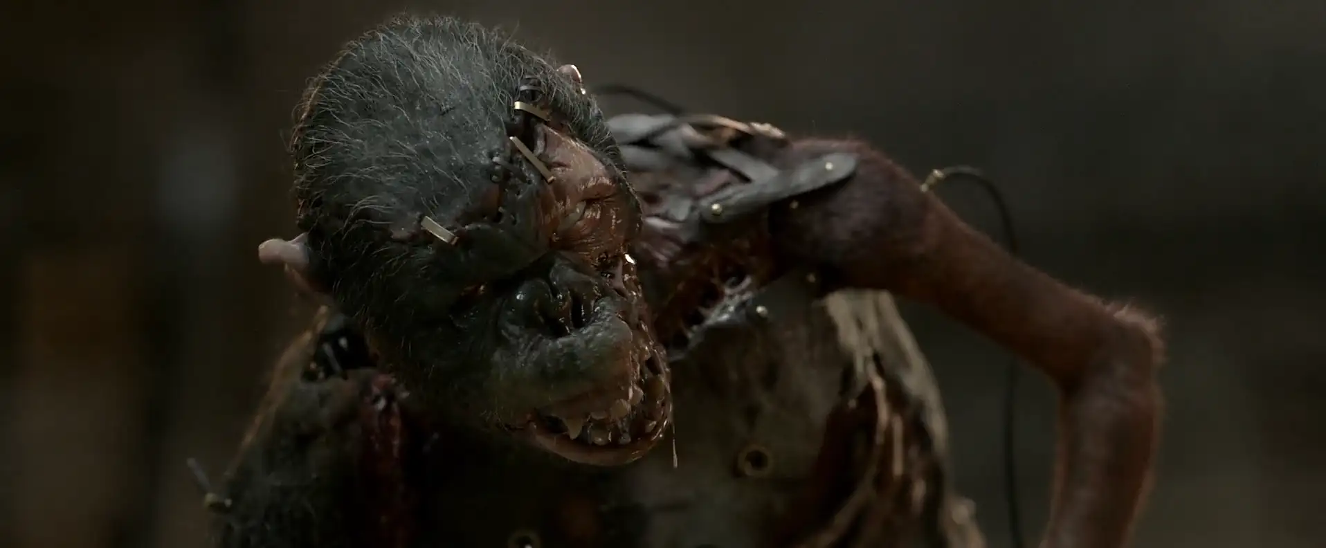 download victor frankenstein (2015) bluray english 480p [350mb] | 720p [800mb]