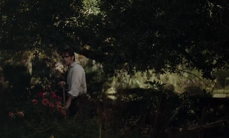 download the beguiled (2017) dual audio {hindi-english} 480p [300mb] | 720p [900mb] | 1080p [2gb]