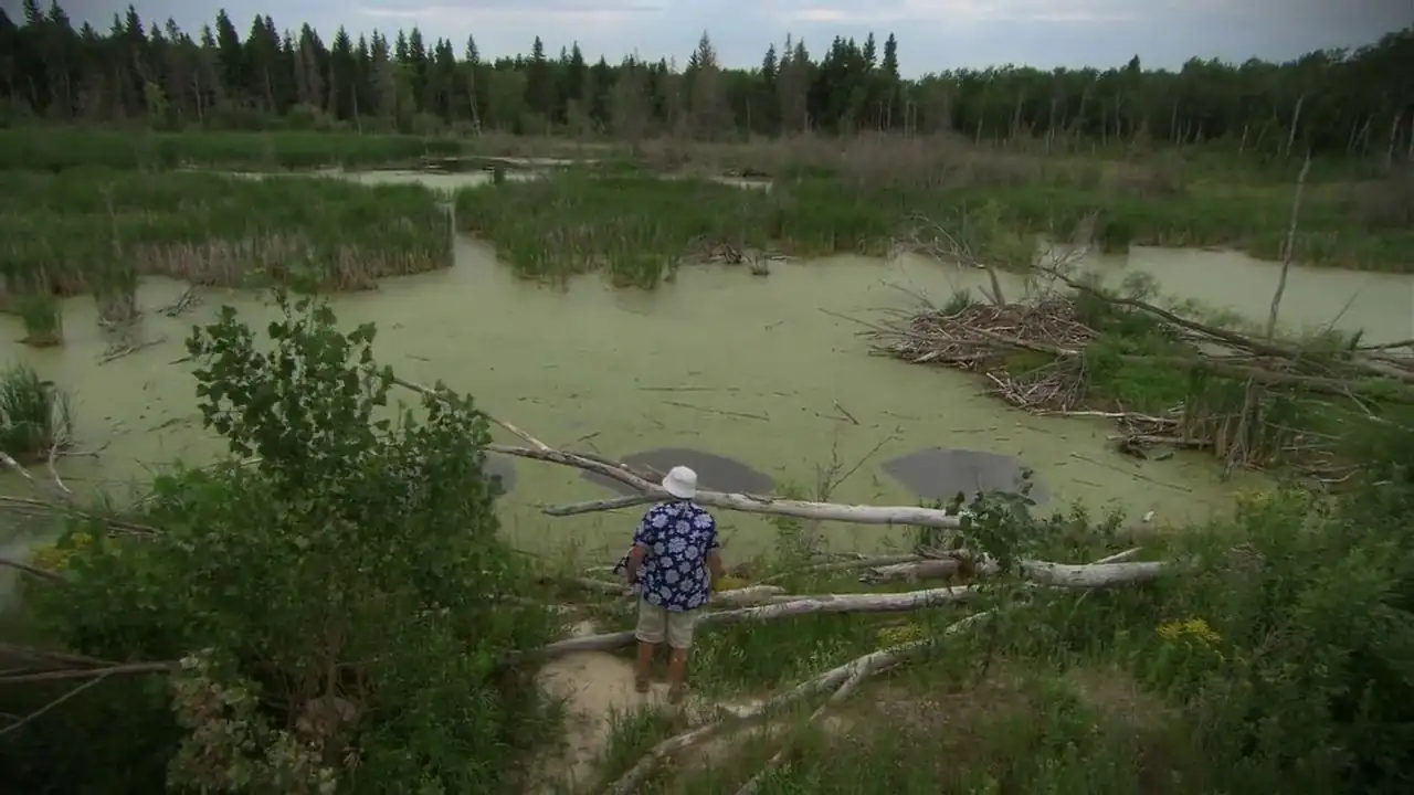 download grizzly rage (2007) bluray dual audio {hindi-english} 480p [430mb] | 720p [870mb] | 1080p [1.6gb]