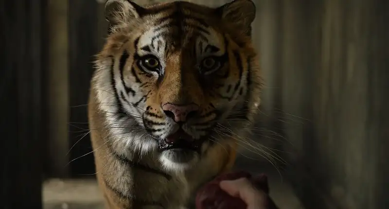 download life of pi (2012) dual audio [hindi + english] web-dl 480p [450mb] | 720p [1.3gb] | 1080p [2.2gb] | 2160p 4k