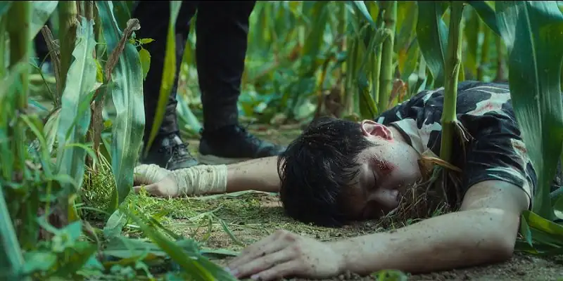 download the frog - netflix original (2024) season 1 multi audio {hindi-english-korean} series 480p | 720p & 1080p web-dl