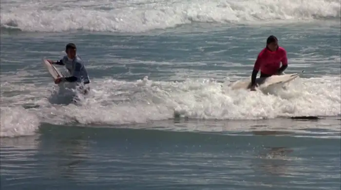 download shark zone (2003) dual audio {hindi-english} 480p [350mb] | 720p [950mb] | 1080p [1.8gb]