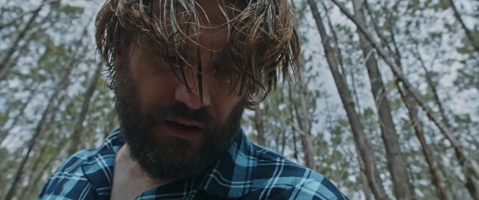 download violett (2023) {english audio} full movie web-dl 480p [300mb] | 720p [820mb] | 1080p [2gb]