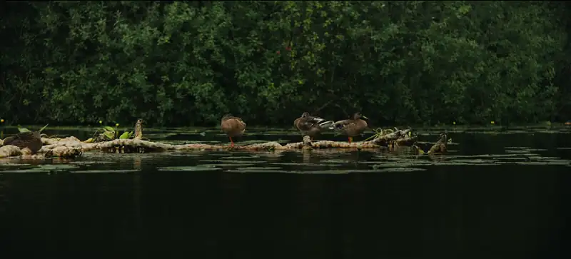 download chemistry of death (2023) season 1 [complete] paramount+ original english web series 720p | 1080p web-dl