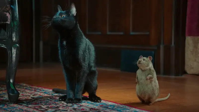 download scaredy cats (season 1) dual audio [hindi-english] complete netflix web series 480p [110mb] | 720p [300mb]