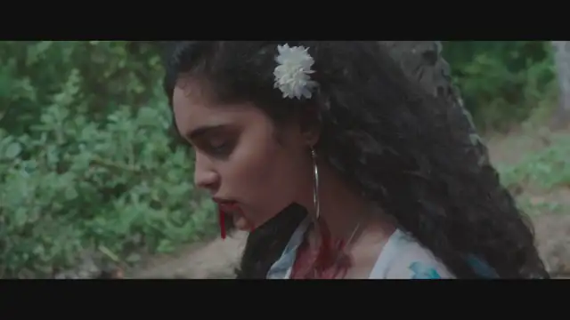 screenshot 6b8281 kinnerasani 2022