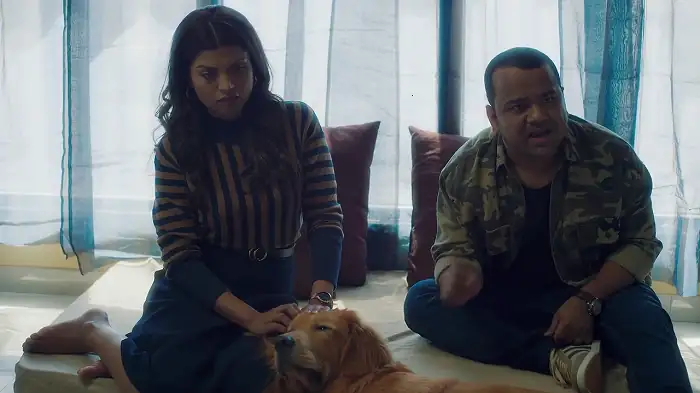 screenshot 6d71ff cheesecake 2019