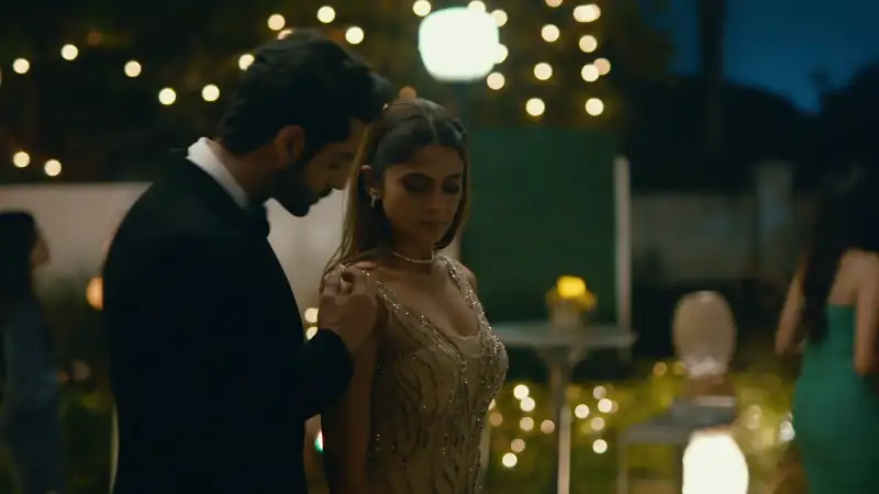 screenshot 6e55af raisinghani vs raisinghani 2024