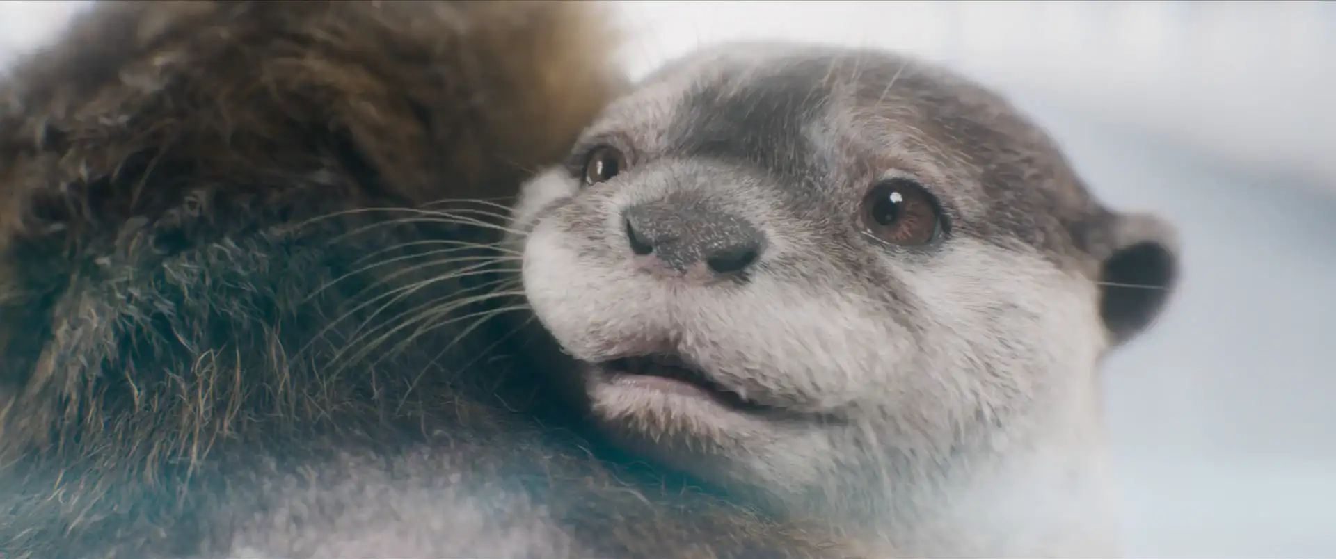 download guardians of the galaxy volume 3 (2023) english with subtitles web-dl 480p [450mb] | 720p [1.2gb] | 1080p [2.9gb]