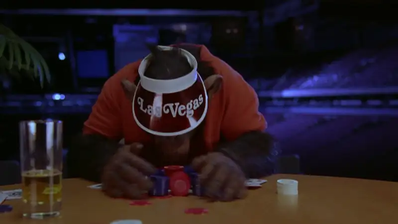 download mvp 2 most valuable primate (2001) dual audio [hindi + english] web-dl 480p [300mb] | 720p [850mb] | 1080p [1.8gb]