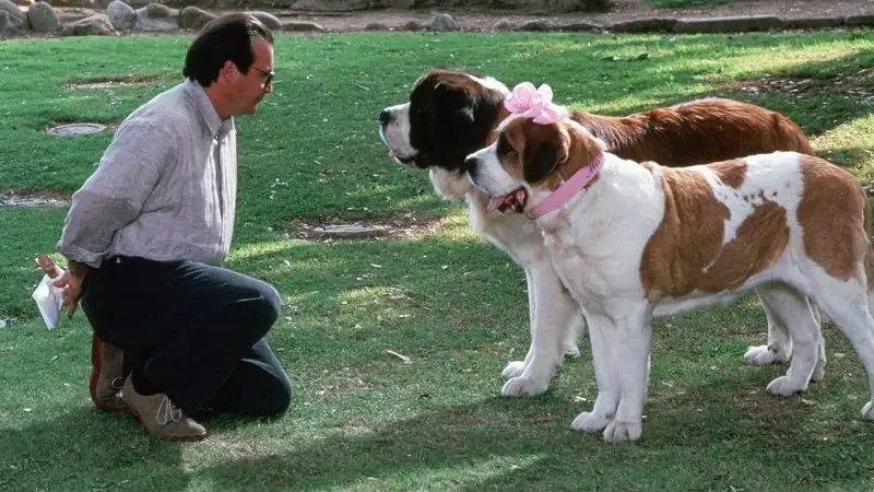 download beethoven's 2nd (1993) bluray dual audio {hindi-english} 480p [220mb] | 720p [940mb] | 1080p [1.8gb]