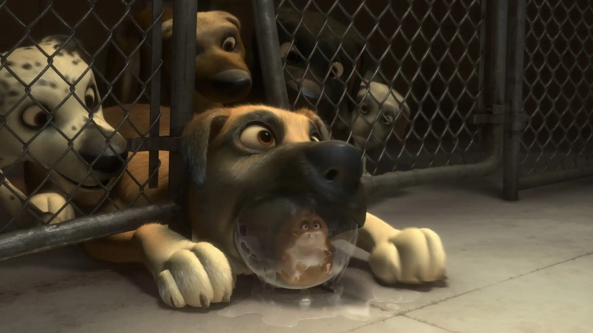 download bolt (2008) dual audio {hindi-english} 480p [350mb] | 720p [1gb]