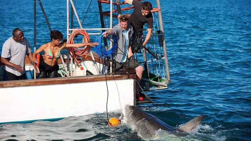 download dark tide (2012) bluray dual audio {hindi-english} 480p [400mb] | 720p [1.2gb] | 1080p [2.3gb] full-movie