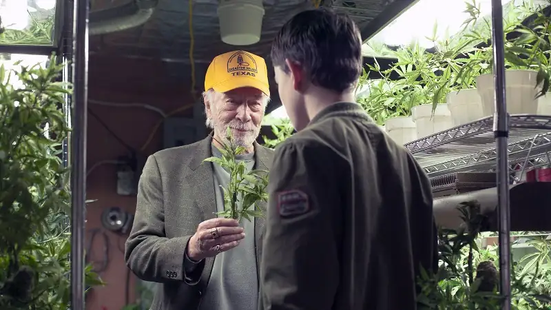 download boundaries (2018) web-dl dual audio {hindi-english} 480p [350mb] | 720p [950mb] | 1080p [2.3gb]